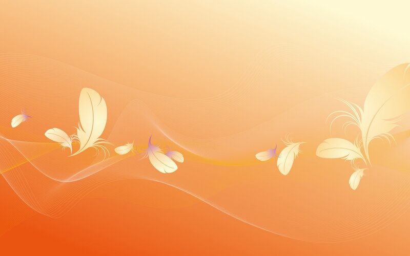 feather design background