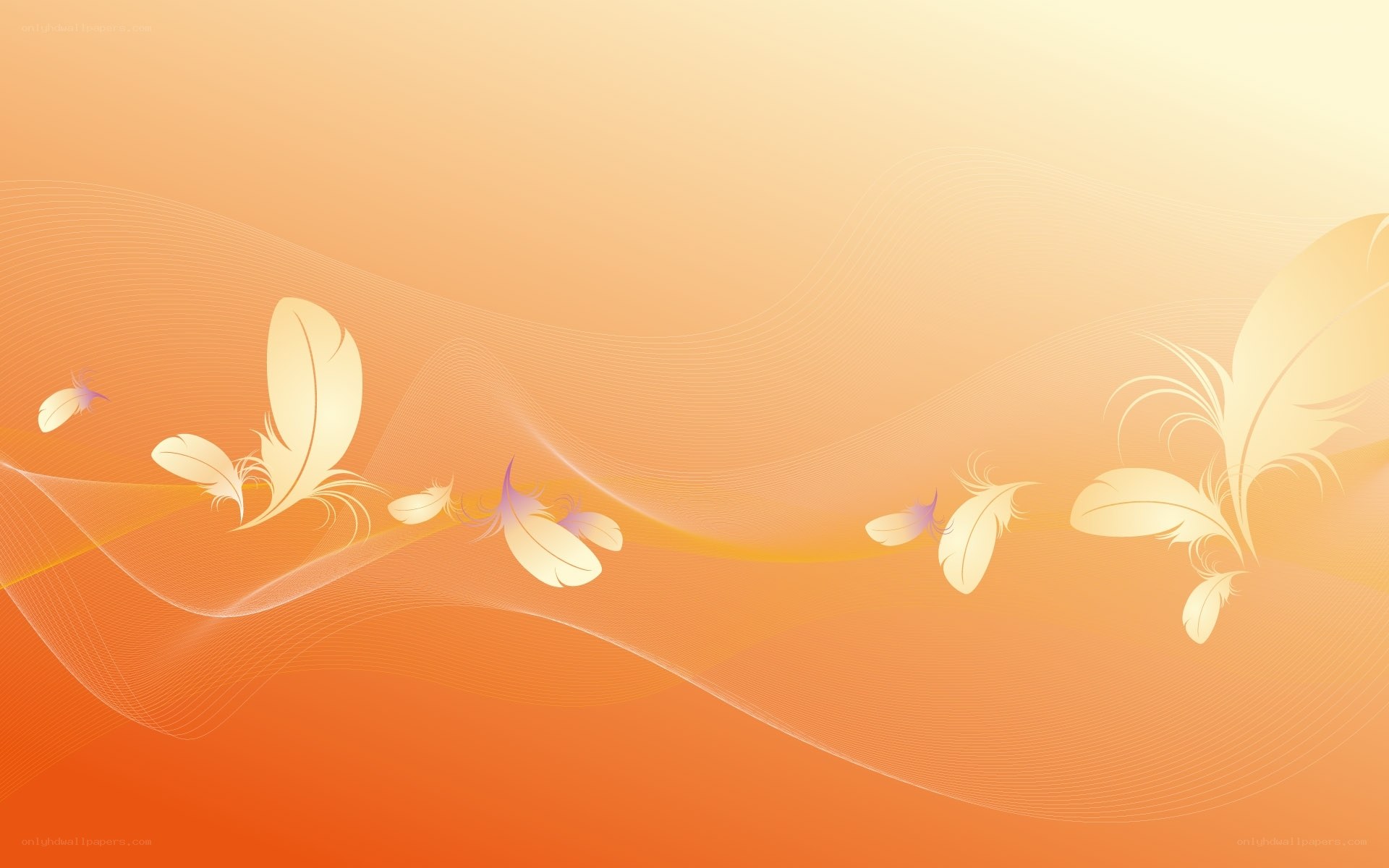 feather design background