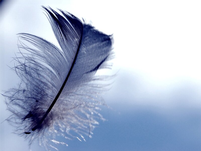 feather floating in air