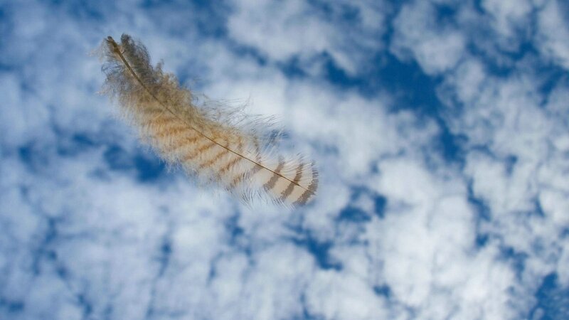 Feather Floating in Sky — Blue, Serene