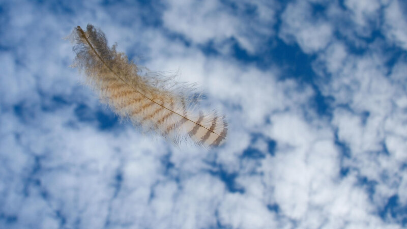 Feather Floating in Sky