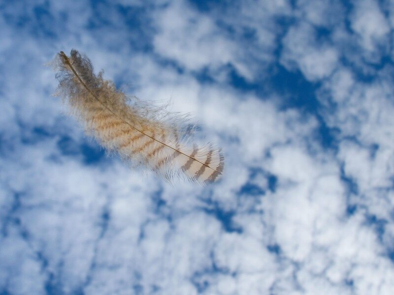 feather floating in the sky