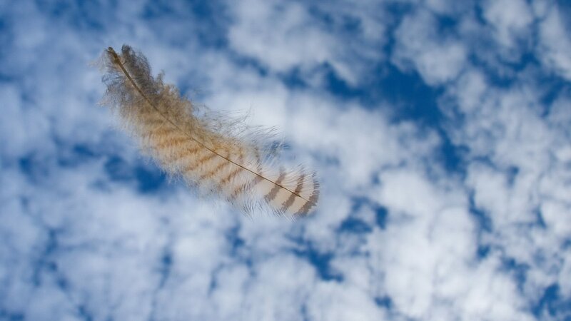 feather floating in the sky