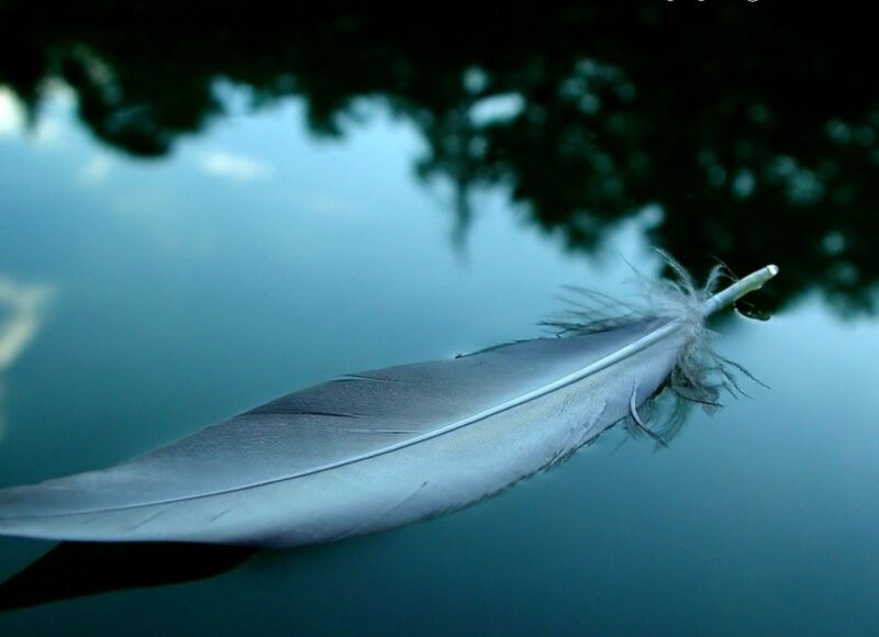 Feather Floating on Water — Blue