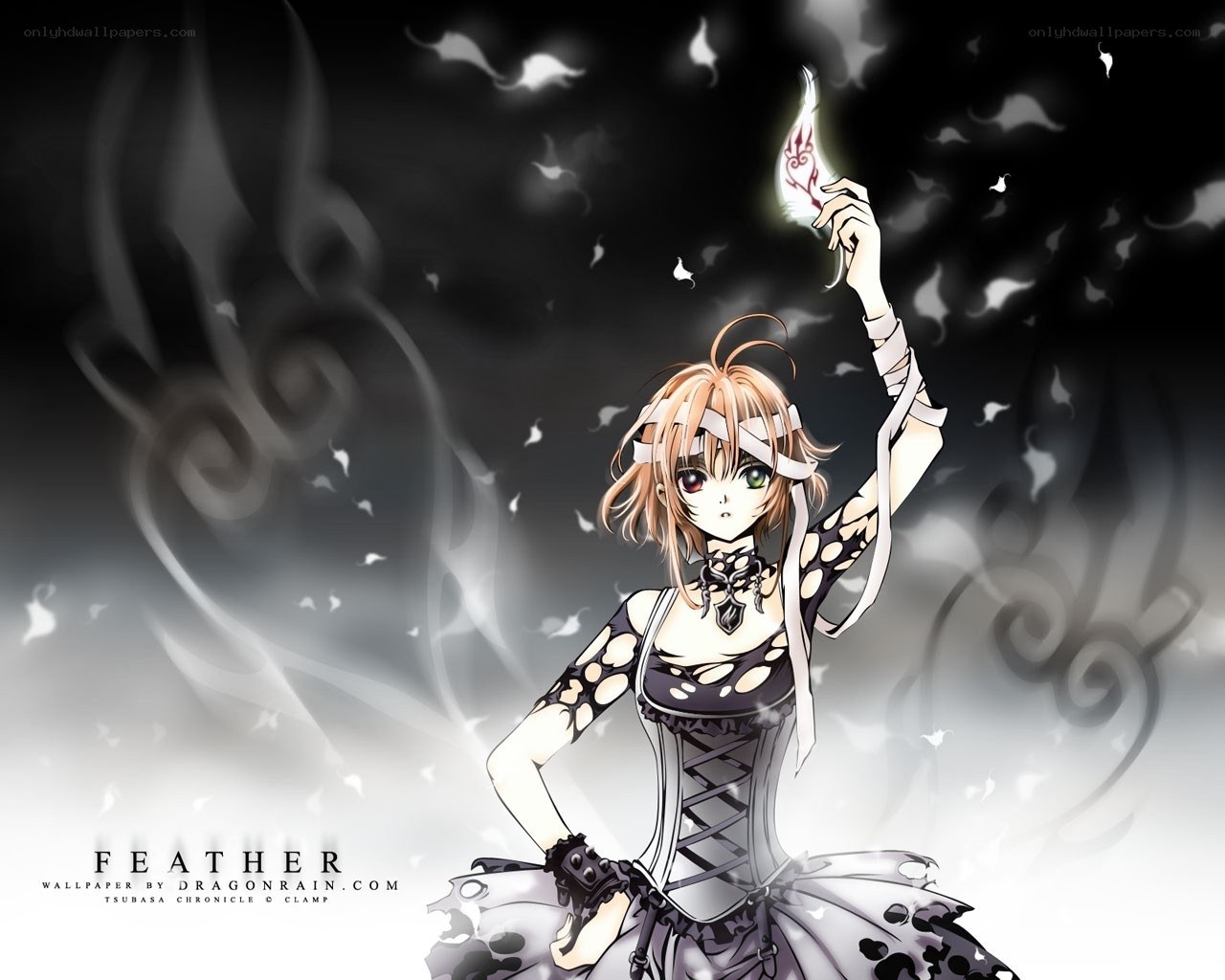 Feather from Tsubasa