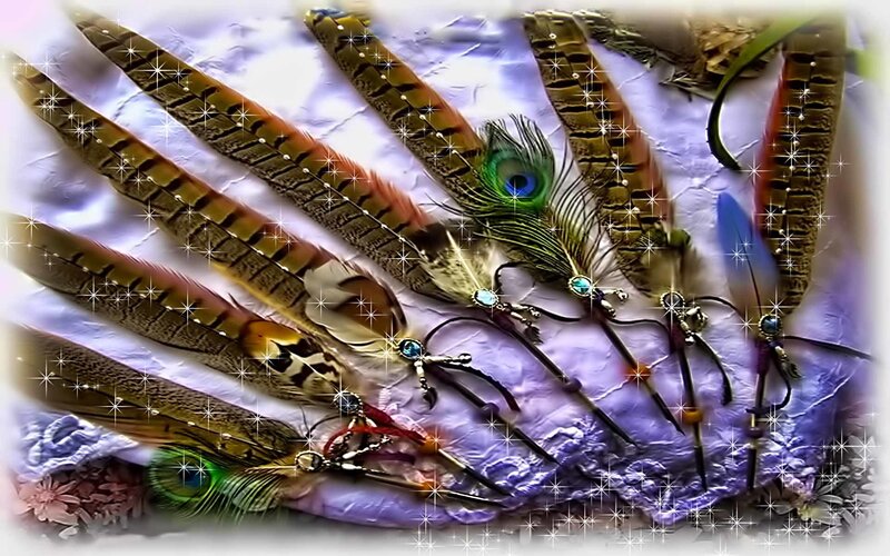 Feather hairpins with gemstones
