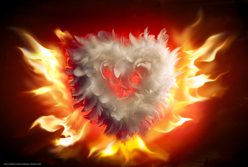 feather heart in flames