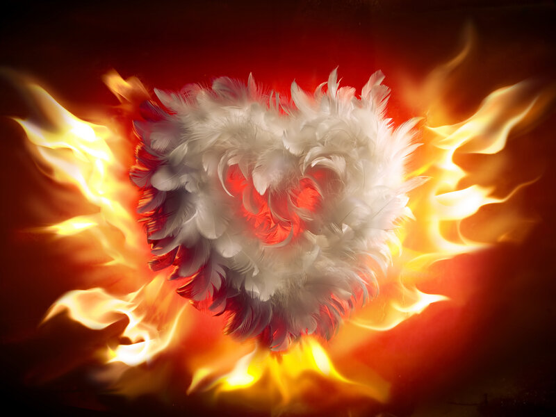 Feather Heart on Fire — Red, Dramatic