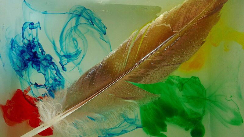 Feather in Colored Ink — Blue