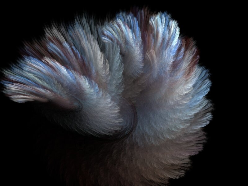 Feather-like Fractal Structure