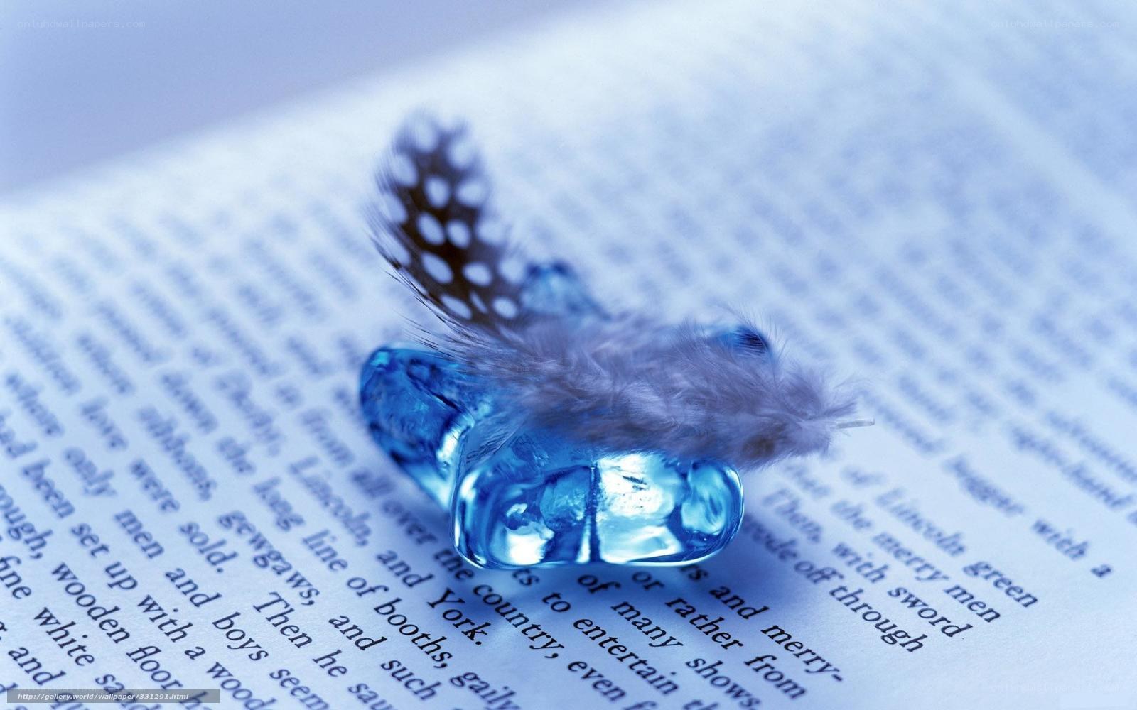 Feather on a book page