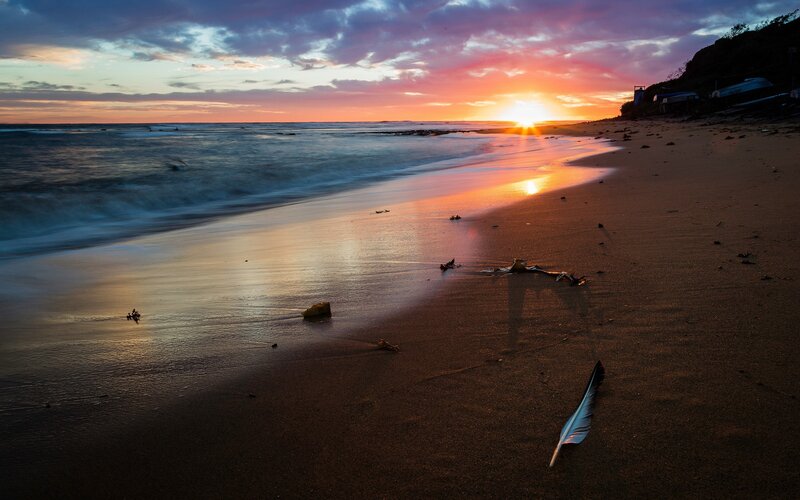 Feather on Beach — Orange, Serene
