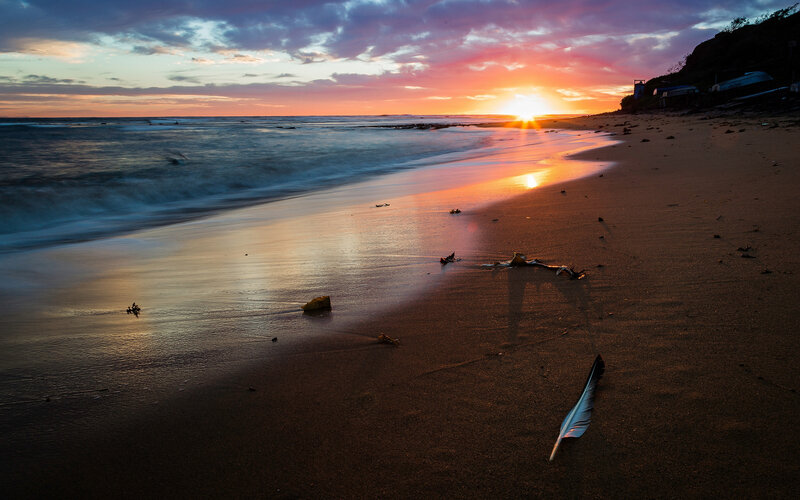 Feather on Beach — Orange