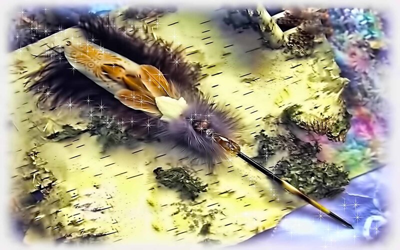 feather on birch bark