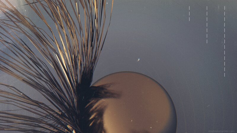 Feather on Dark Surface — Brown