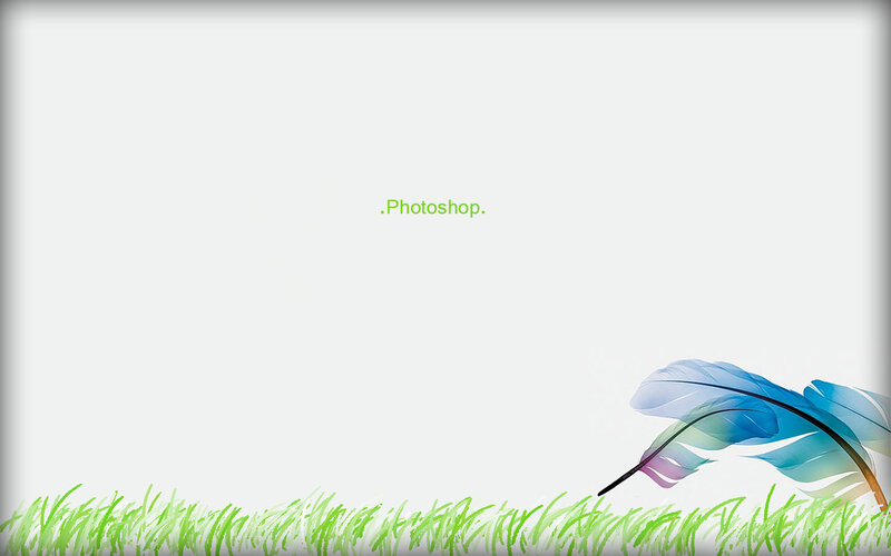 feather on grass background