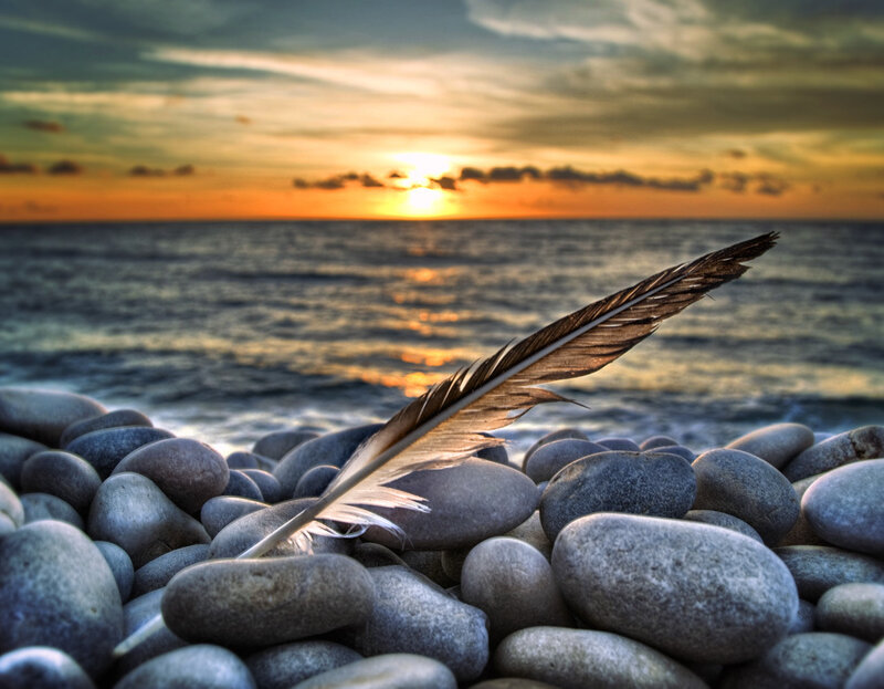 feather on pebbles at sunset