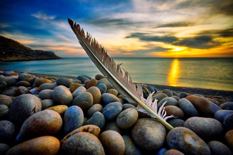 Feather on Pebbles — Blue
