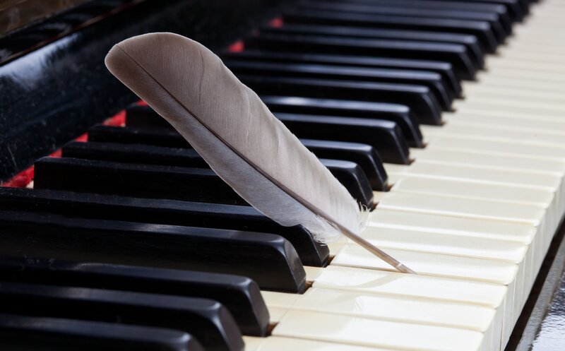 Feather on Piano Keys