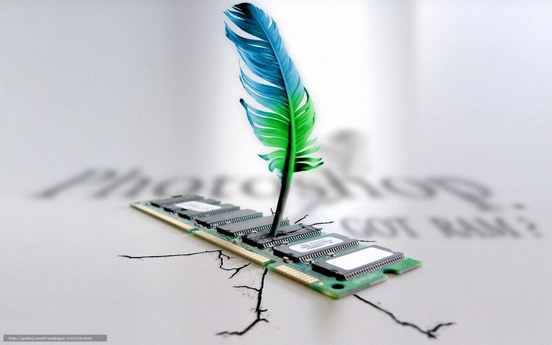 Feather on RAM module