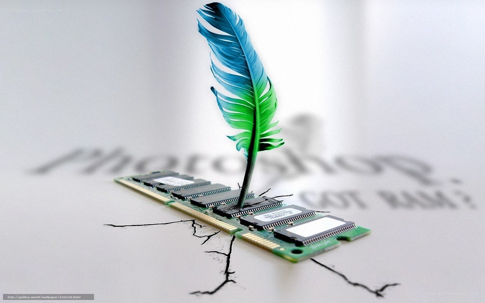 Feather on RAM module