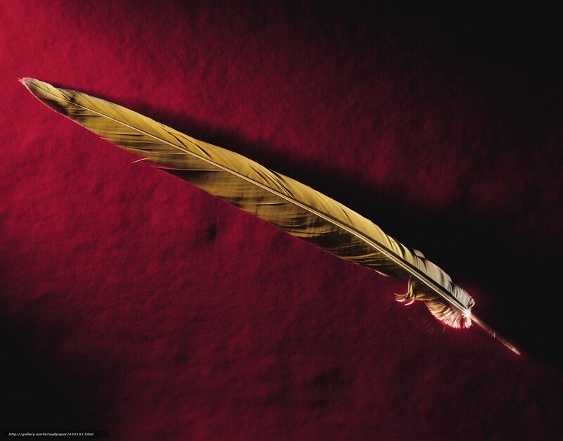 Feather on Red Fabric — Dramatic