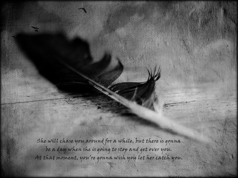 Feather on Textured Surface