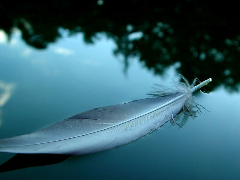 Feather on Water — Blue
