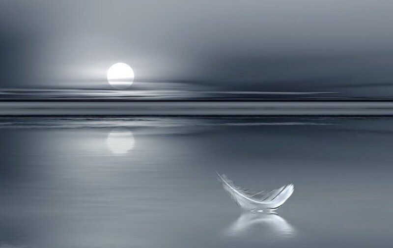 Feather on Water