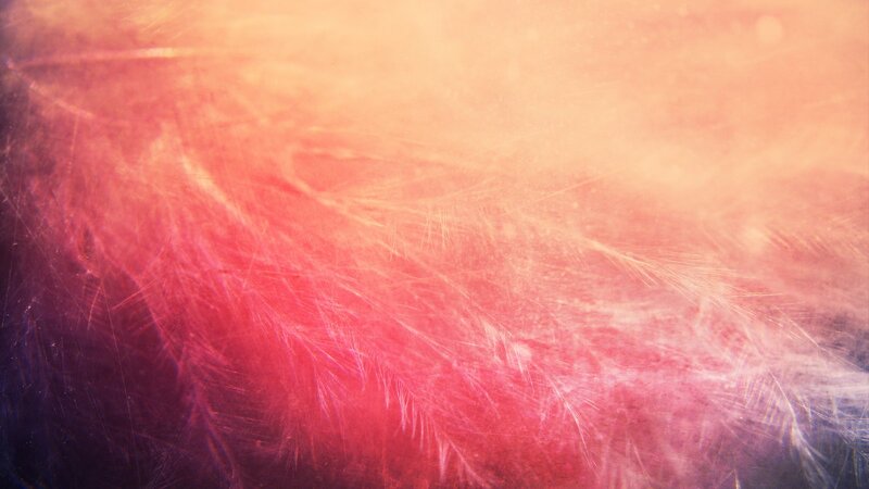 Feather Texture