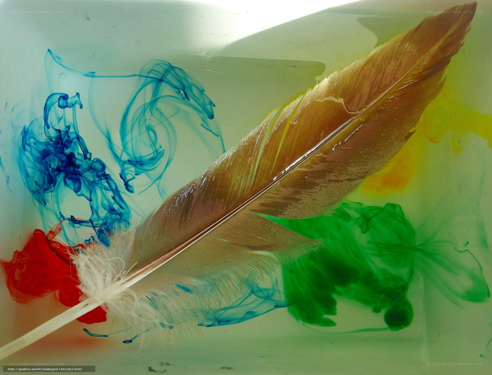 Feather with colorful ink swirls