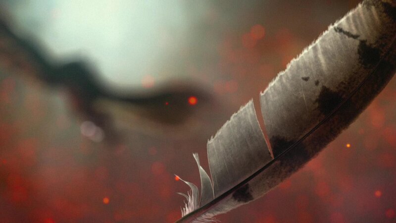 feather with red bokeh background