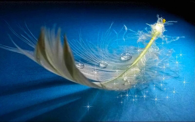 feather with sparkles on blue