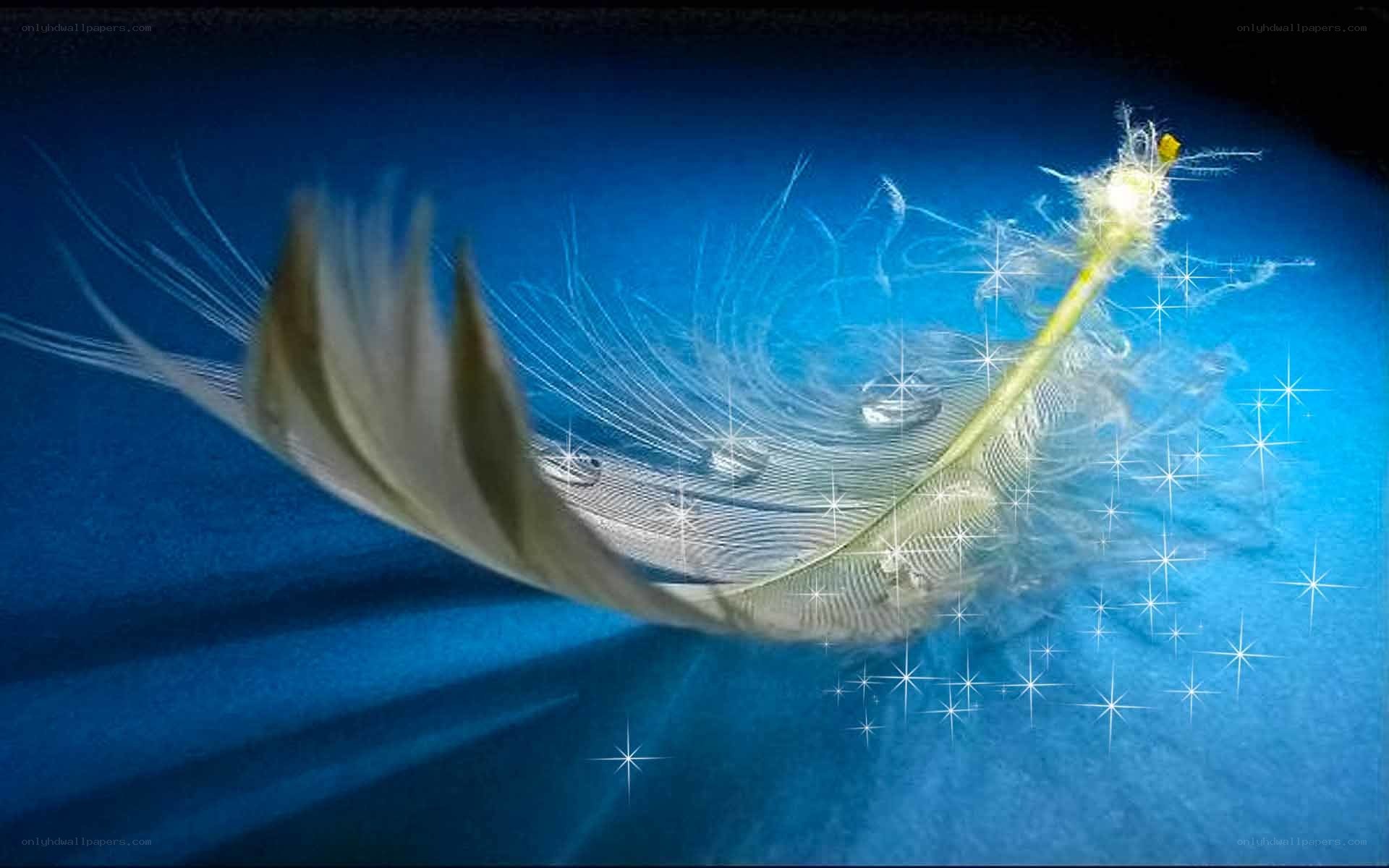 feather with sparkles on blue