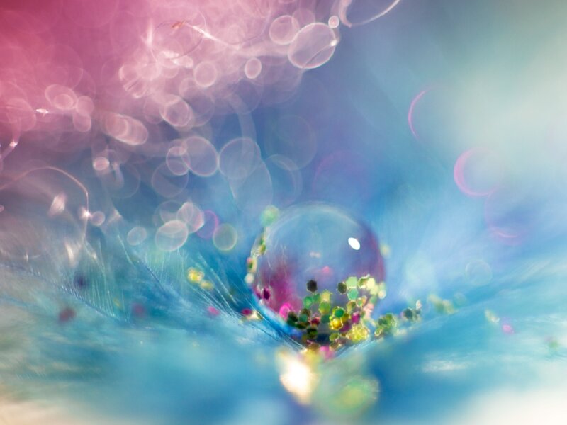 Feather with Water Droplet — Blue, Dreamy
