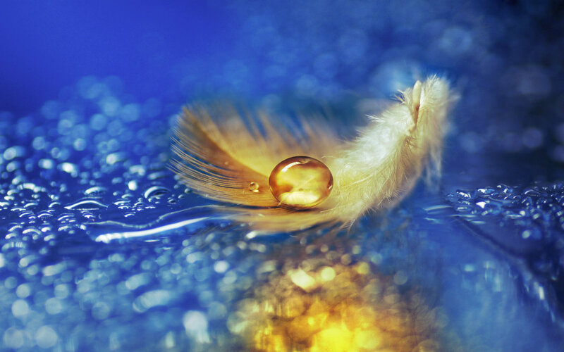Feather with Water Droplet — Blue, Serene, Photograph, Water Droplet, Blue Surface