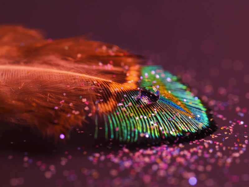 Feather with Water Droplet — Green, Dramatic