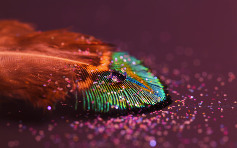 Feather with Water Droplet — Green