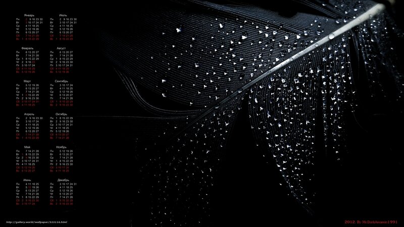 Feather with water droplets calendar