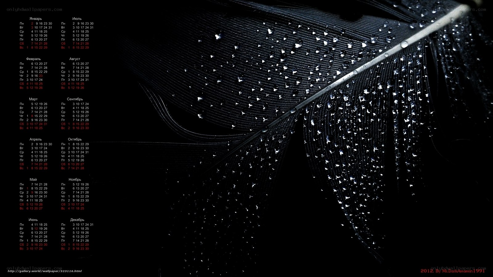 Feather with water droplets calendar