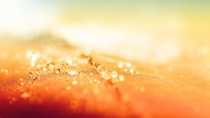 Feather with Water Droplets — Orange, Serene, Sunset