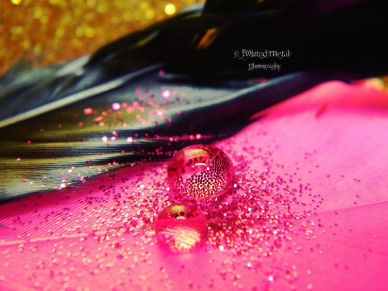 Feather with Water Droplets — Pink