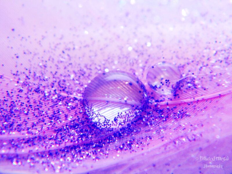 Feather with Water Droplets — Purple