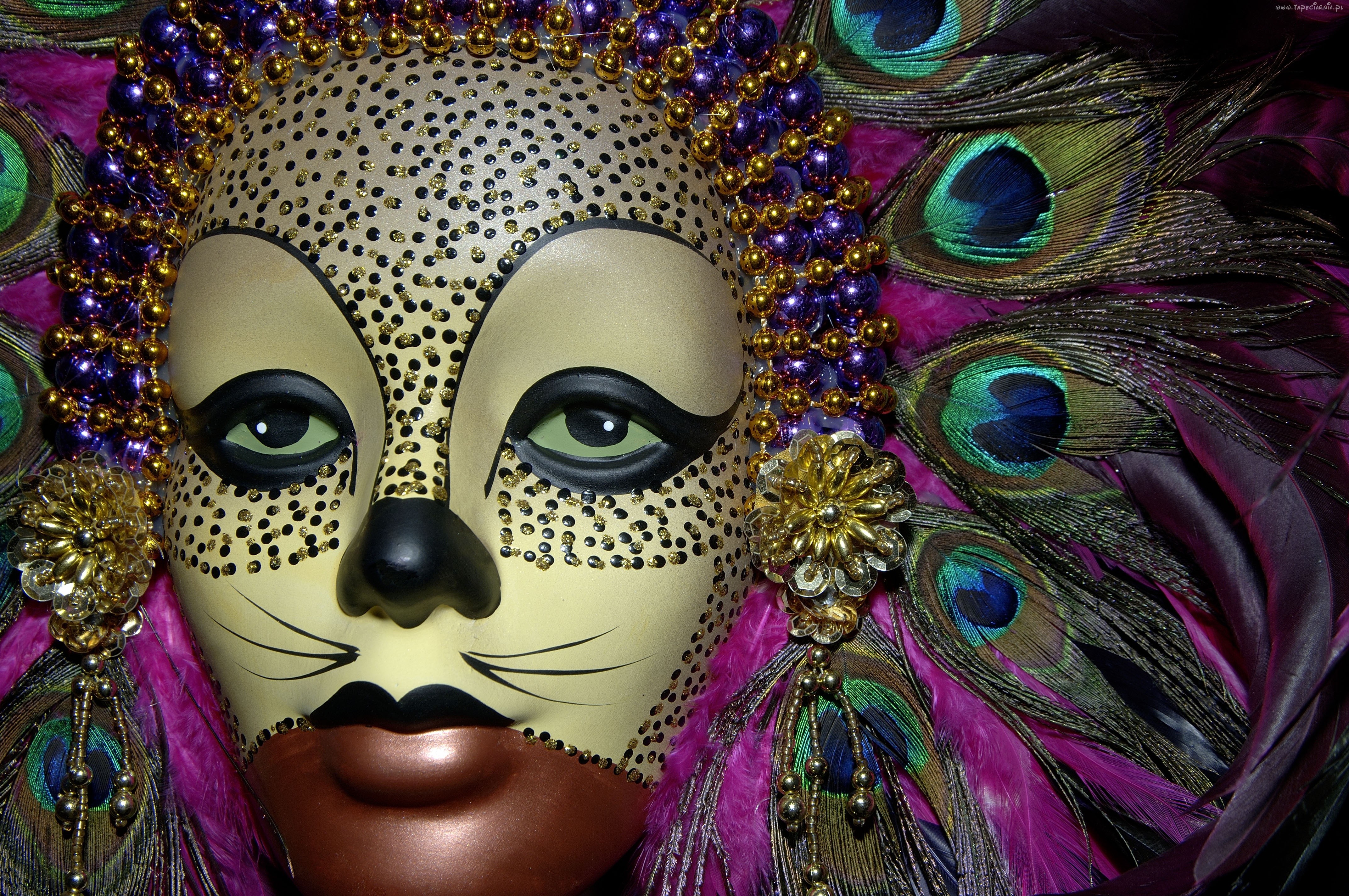 feathered carnival mask