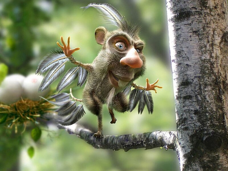 Feathered Creature on Branch