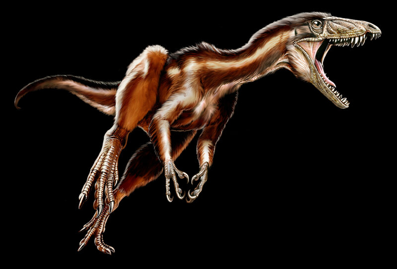 Feathered Dinosaur — Brown