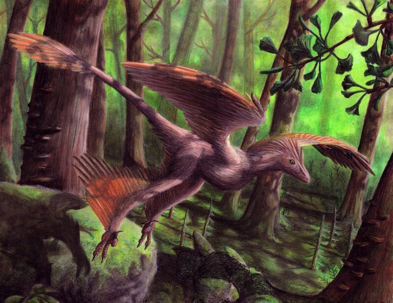 Feathered Dinosaur in Forest