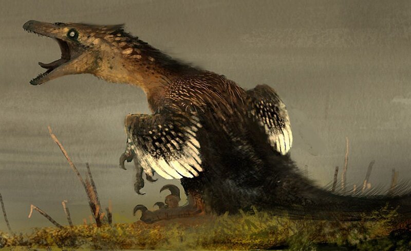 feathered dinosaur predator