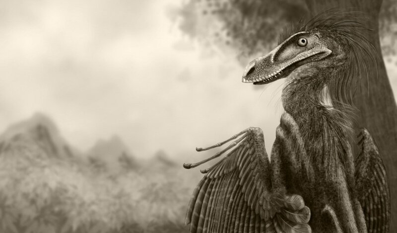 Feathered Dinosaur