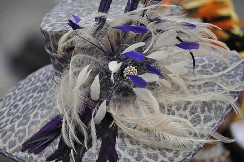 Feathered Hat Decoration